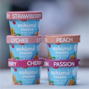 Recyclable Paper Cup for Ice Cream Dessert Bowl With Paper Ice Cream Cup With Lid