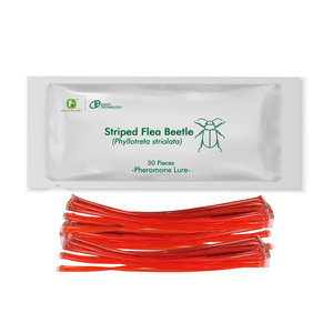 فيلوترا ستريولاتا الجنس فيرومون إغراء الفخاخ لشريط برغوث السيطرة خنفساء بيئة بيئة صلبة جاذبة الآفات - Product Image 1