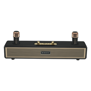 BoomsBass in legno musica suono bar Karaoke macchina con Mini doppio microfono Wireless portatile Karaoke cassa audio per feste a casa - Product Image 1