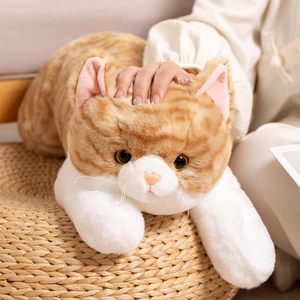 Odm Oem Luxe Kawaii Schattige Realistische Kat Knuffel Superzacht Knuffel Stressverlichting Aanpasbaar Gewassen Kerstcadeau - Product Image 6