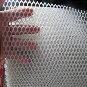 प्लास्टिक फ्लैट तार जाल/प्लास्टिक सादा जाल कृषि Extruded प्लास्टिक सादा जाल - Product Image 2