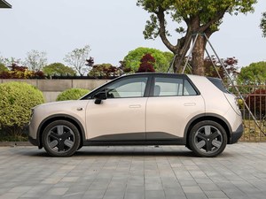 Voiture électrique Ni_o Firefly à prix abordable, autonomie NEDC longue portée, <span class=keywords><strong>batterie</strong></span> 30 kWh, conduite à droite/à gauche, véhicules à énergie nouvelle - Product Image 2