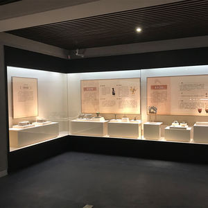 Supporto espositivo di qualità superiore elegante vetrina in vetro del museo per oggetti da collezione - Product Image 4