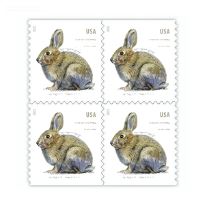 Etiquetas de Sellos Postales 2021, Conejo, Clase I Postal de EE. UU., Pato 2024, Franqueo 2026, 100 Unidades del Reino Unido para Etiquetas de Sellos Postales - Product Image 1