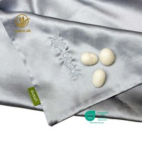 Taie d'oreiller en soie 100% naturelle 19/22 Momme avec logo personnalisé et boîte sur mesure – Vente en gros