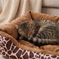 Lit pour animaux de compagnie lavable en coton, motif dessin animé, pour intérieur, OEM ODM, portable, doux et relaxant, pour chat et chien