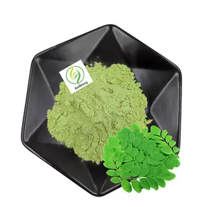 Ekstrak Tanaman jumlah besar bubuk ekstrak Moringa organik bubuk daun Moringa bubuk