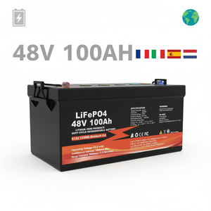 12V100Ah Lithium Ion <b>Batteries</b> Pack 12V <b>24V</b> 48V200Ah 300Ah OEM ODM Solar Energy System Lithiume Lithium <b>Battery</b> - Product Image 2