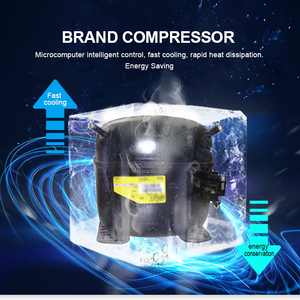 Congélateur vertical de supermarché à température unique pour glaces, 2 portes vitrées, 5 étagères, dégivrage <span class=keywords><strong>automatique</strong></span>, réfrigérateur profond - Product Image 6