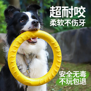 Jouets professionnels pour chiens, durables et résistants aux morsures, adaptés aux Labradors, Golden Coats, Border Collies et autres races. - Product Image 2