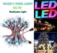 DC 12V WS2811 12mm Diffusé Numérique RGB LED Pixel Lumière Individuellement Adressable Rond LED Module 50pcs/Brin IP68 Étanche