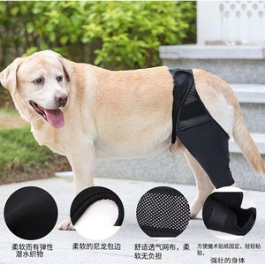 Attelle de soutien pour genou de chien, stabilisateur d'articulation doux et respirant pour chiens âgés, taille SMLXL - Product Image 4