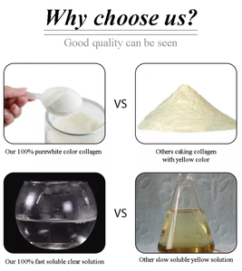 Collagène hydrolysé en peptides <span class=keywords><strong>de</strong></span> <span class=keywords><strong>type</strong></span> <span class=keywords><strong>1</strong></span> et 3, provenant d'écailles <span class=keywords><strong>de</strong></span> poisson Tilapia, vente en gros, marque Pepdoo, blanc, durée <span class=keywords><strong>de</strong></span> conservation <span class=keywords><strong>de</strong></span> 24 mois, OEM disponible - Product Image 2