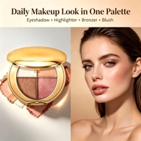 Palette de maquillage visage et yeux tout-en-un multi-usages, minérale pressée, waterproof, longue tenue, avec illuminateur, bronzer et blush