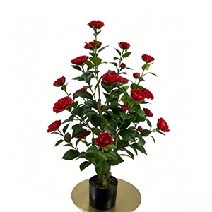 Camélia rouge élégant et délicat en pleine floraison avec des pétales volumineux superposés pour la décoration de banquets, les vitrines, les chambres et les jardins. - Product Image 1