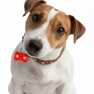 LED ciondolo prodotti per animali domestici elegante per il colletto a LED per gli animali domestici - Product Image 1