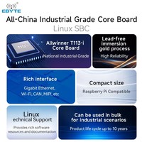 Ebyte ECB30-P4T13IA5ME8G-I 8GB 512MB Allwinner T113-i Ordinateur monocarte Raspberry Pi Carte de développement Linux embarqué ARMA7