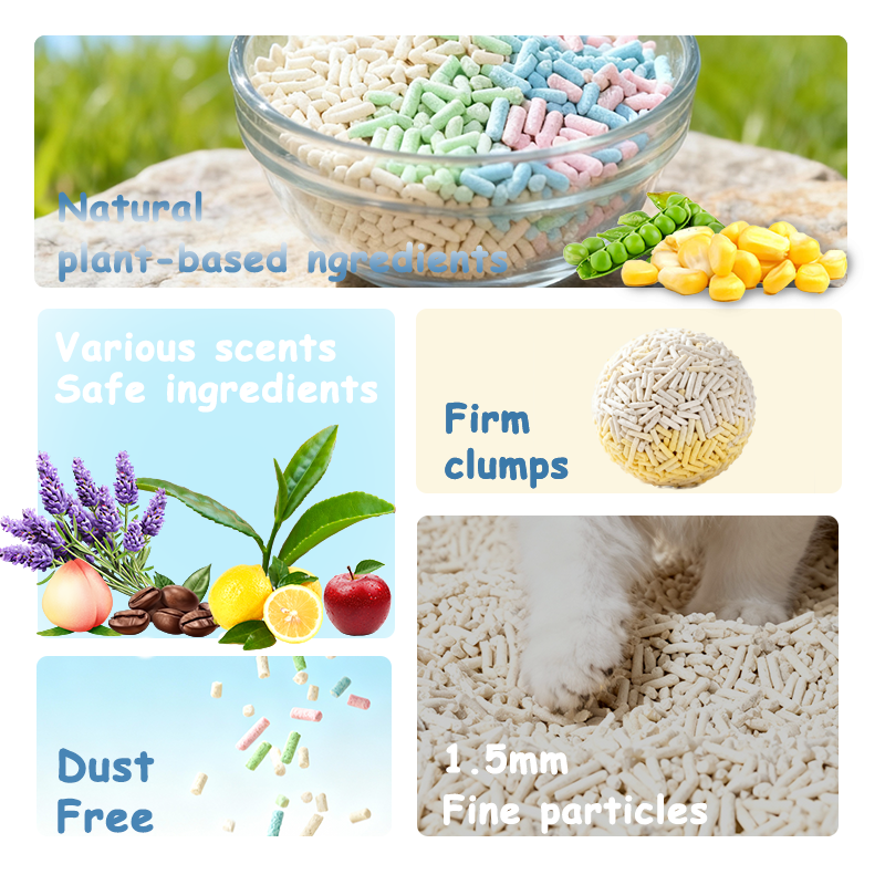 Dust Free Biodegradable Tofu Cat Litter - BSG Pet Products Co., Ltd.