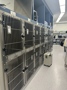 Mô-đun chăn nuôi chó kennel rắn bức tường Breathable Pet lồng chuyên nghiệp thép không gỉ Pet lồng - Product Image 2