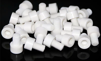 M2 M3 M4 M5 M6 M7 M8 M10 Blanc Noir Fente Entraînement Carbone PTFE PEEK Vis 70mm 80mm Longueur Din Standard pour les Ventes