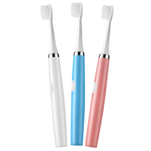 2021 Sanzuwu Odm Private Label 3 Models Tooth Brushes Rechargeable Automatic Sonic Oral Electric Toothbrush Ultrasonic