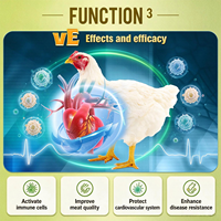 Supplément d'huile de foie de morue pour volailles, enrichi en vitamines AD3E, favorise la croissance des poulets de chair, améliore la fertilité et la capacité d'éclosion pour les poules reproductrices