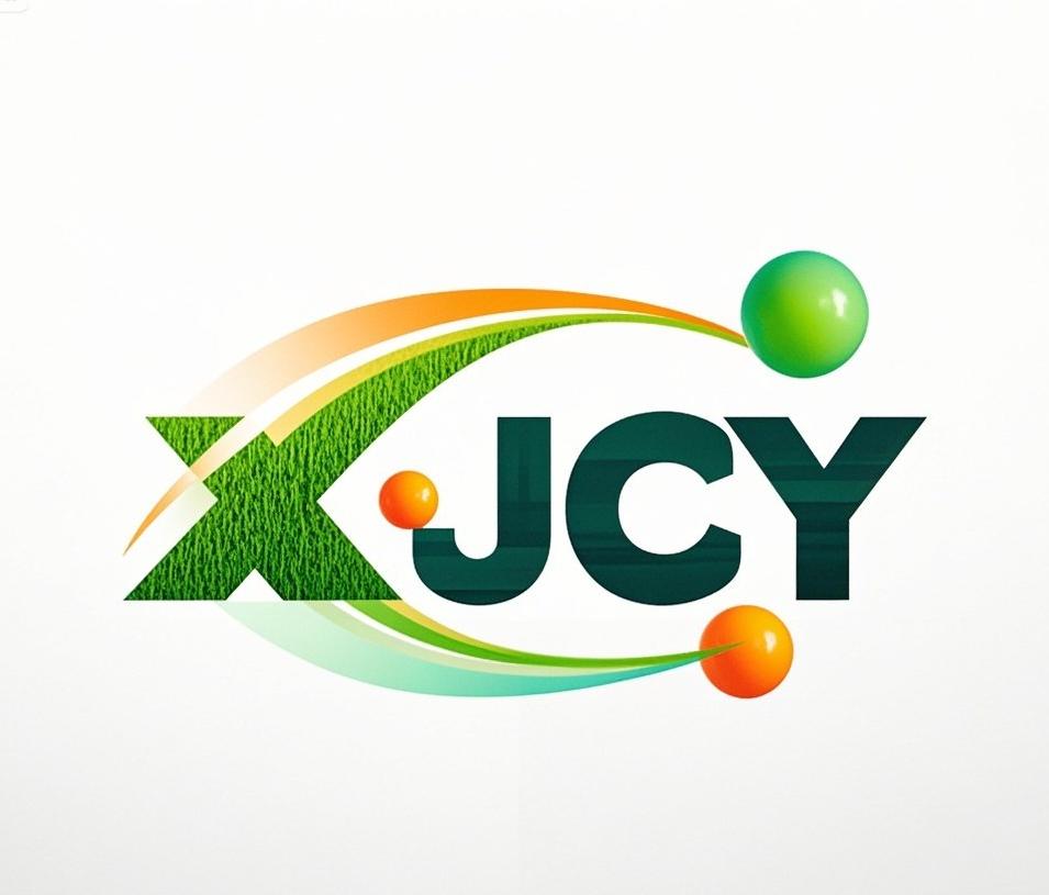 Shaanxi Xingjie Beyond International Trade Co., Ltd. logo