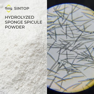Extrait d'éponge hydrolysée biologique à 99 % pour le microneedling <span class=keywords><strong>bio</strong></span>, soin professionnel de la peau, poudre de spicules d'éponge hydrolysée - Product Image 1