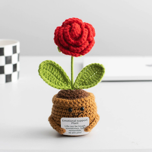Maceta de Flores Tejida a Crochet con Frases Inspiradoras, Decoración Hecha a Mano, Varios Estilos, Regalo Ideal para Cumpleaños, para Amigos - Product Image 3