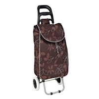 Vente en gros d'usine Bagage à main pliable pour monter les escaliers d'extérieur bon marché personnalisé Chariot de voyage Sac portable avec poignée