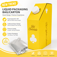 Pochette souple personnalisée de 1L en aluminium avec bec verseur, type Bag-in-Box, pour thé, café chaud et autres boissons, avec bouchon à vis