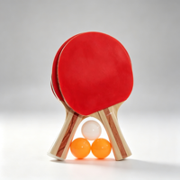 Raquettes de ping-pong en bois sept plis, personnalisation usine, haute qualité, OEM ODM, raquettes de tennis de table