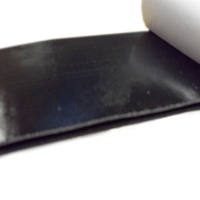 Sangles adhésives élastiques de haute qualité pour fixation de tapis de voiture, tapis de sol automobile