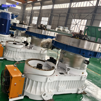Granulateur à Anneaux Certifié CE 110KW, Machine à Granulés de Biomasse pour Sciure et Paille, Garantie 1 An