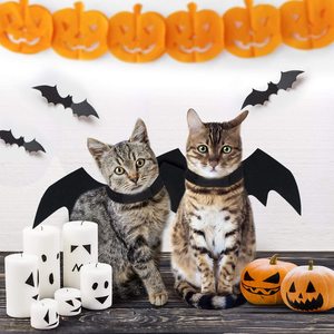 Mode Chat Vêtements Ailes <span class=keywords><strong>de</strong></span> Chauve-Souris Drôle Chien <span class=keywords><strong>Costume</strong></span> Aile Artificielle Animal Cosplay Prop Halloween Chat Chien <span class=keywords><strong>Costume</strong></span> - Product Image 6