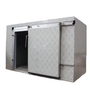 PU panel lamp/lobster/mutton/beef/chicken cold room storage walk in freezer