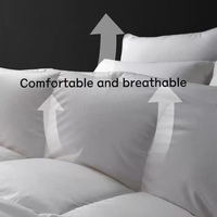 Couette d'été matelassée confortable taille King, respirante et rafraîchissante, 500g, mélange coton-polyester, stérilisée, sans odeur, OEM