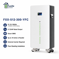 Batterie au lithium LiFePO4 sur pied 51,2 V 300 Ah 15,36 kWh pour stockage d'énergie solaire avec indicateur LED et BMS 200 A