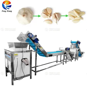 FXL-188 endüstriyel sarımsak soyma üretim hattı sarımsak soyma makinesi soğan ayırma kırma makinesi