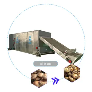 Déshydrateur continu entièrement automatisé, séchoir alimentaire, séchoir à champignons