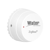 Détecteur de fuite d'eau intelligent Tuya Zigbee, détecteur d'inondation, alarme d'immersion, Alexa, hub Tuya requis