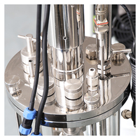 Bioréacteur automatique de laboratoire de 2 L, réservoir en verre et acier inoxydable pour la fermentation et l'extraction d'acide hyaluronique, composants principaux PLC, CE