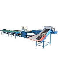 Fruit- en groenteverwerkingsmachine met pompextractie, hoge capaciteit verwerkingslijn voor wortel- en knolgroenten