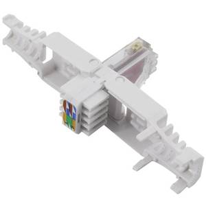 Prix d'usine du connecteur Cat6 <span class=keywords><strong>Rj45</strong></span> UTP <span class=keywords><strong>RJ45</strong></span> Cat6 connecteur sans outil Cat6 prise modulaire sans outil - Product Image 2