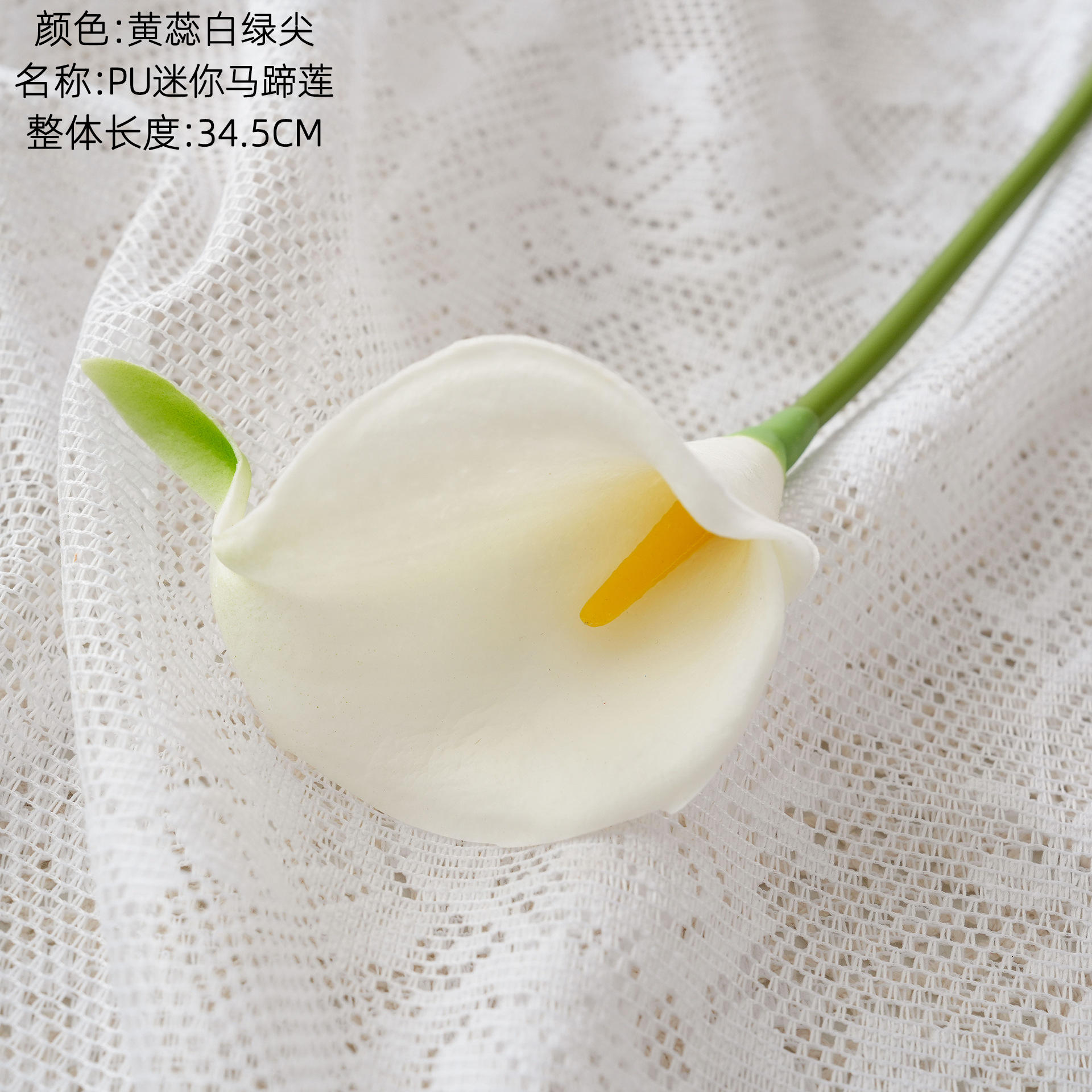 Pistil jaune, pointe blanche et verte