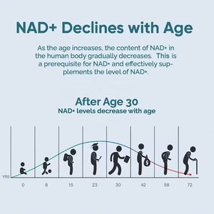 OEM Private Label NAD+ <strong>Capsules</strong> Adult Vitamins Vegan Upgraded for High Absorption 60 <strong>Capsules</strong> - Product Image 4