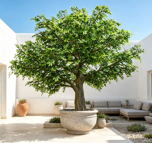 Grand arbre artificiel écologique Ficus Benjamina et Mangue pour intérieur et extérieur, idéal pour hall d'hôtel, verdure bionique - Product Image 2