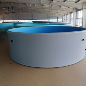 Piscina Inflable de Gran Tamaño con Logotipo Personalizado Gratuito, Piscina Portátil de Material de Doble Costura para Nadar al Aire Libre - Product Image 2