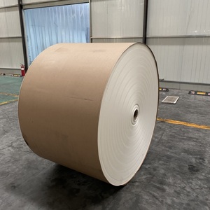 Fabricant de papier PE, rouleaux de papier enduit de PE pour gobelets en papier, papier kraft blanc FBB - Product Image 1