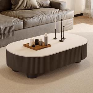 Oval Slab Coffee <b>Table</b> Laminate Top Modern Minimalist Living Room Furniture Storage Design <b>Small</b> Apartment Use - Product Image 2